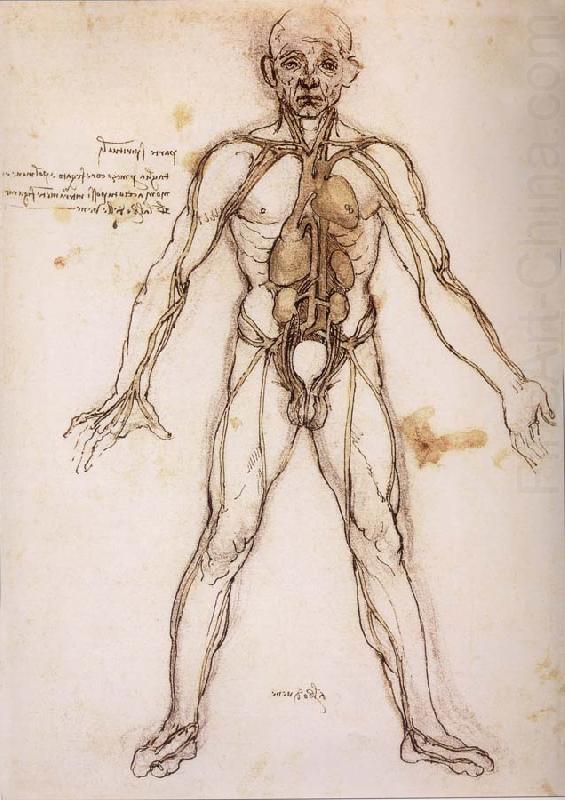 LEONARDO da Vinci You branching of the Blutgefabe, anatomical figure with heart kidneys and Blutgefaben china oil painting image